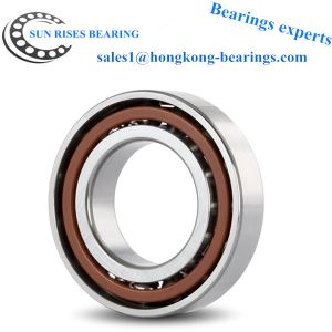 85BER19SV1V Lager